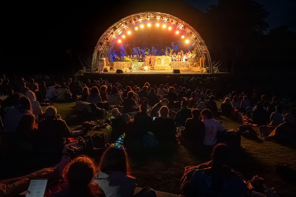 Cape Town Carols at Kirstenbosch stage at night